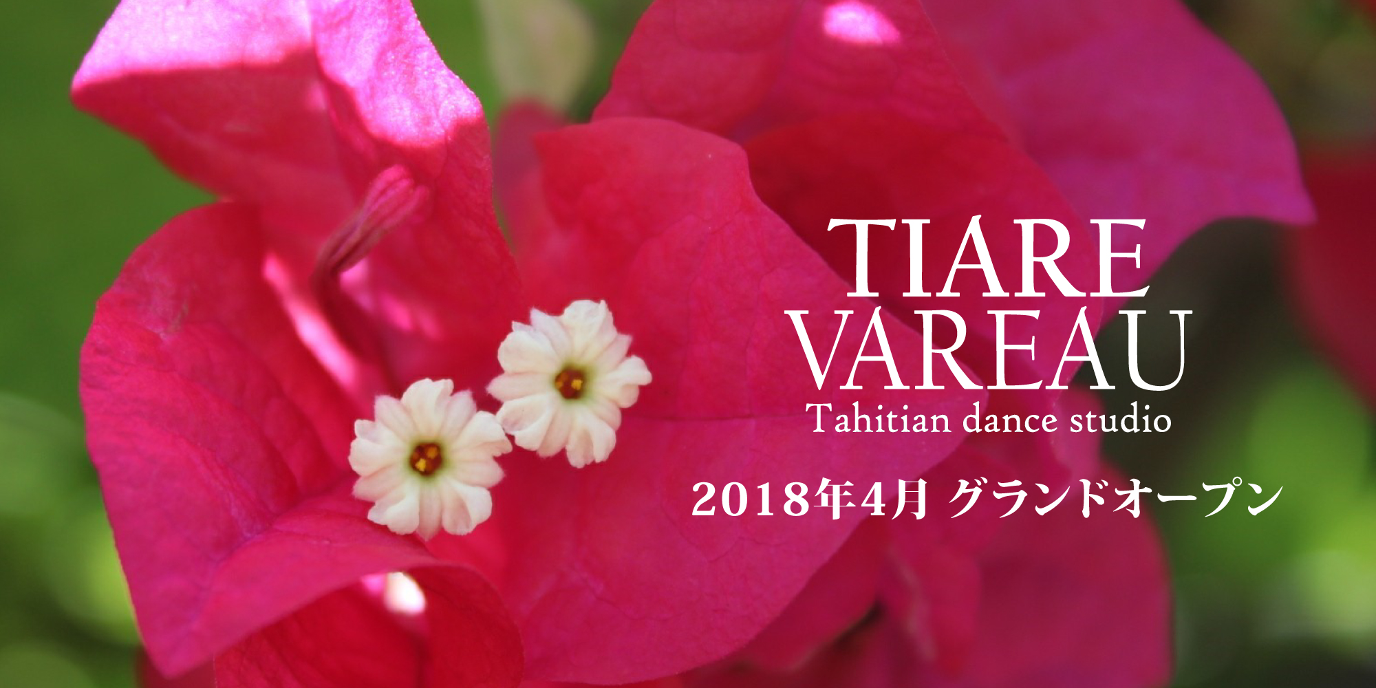 2018年4月グランドオープン
